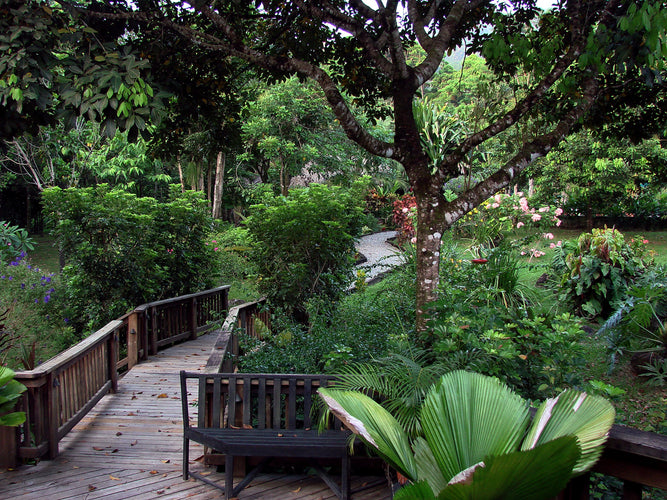Deserted Islands & Jungle Romance